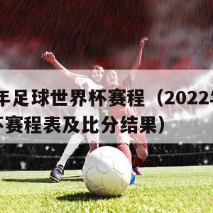 2022年足球世界杯赛程（2022年足球世界杯赛程表及比分结果）